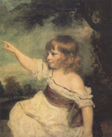 Sir Joshua Reynolds Master Hard (mk05) Spain oil painting art